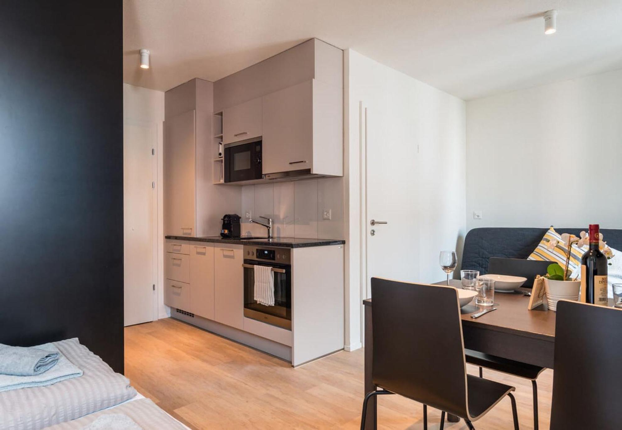 Hitrental Central Station Apartment Цюрих Екстериор снимка